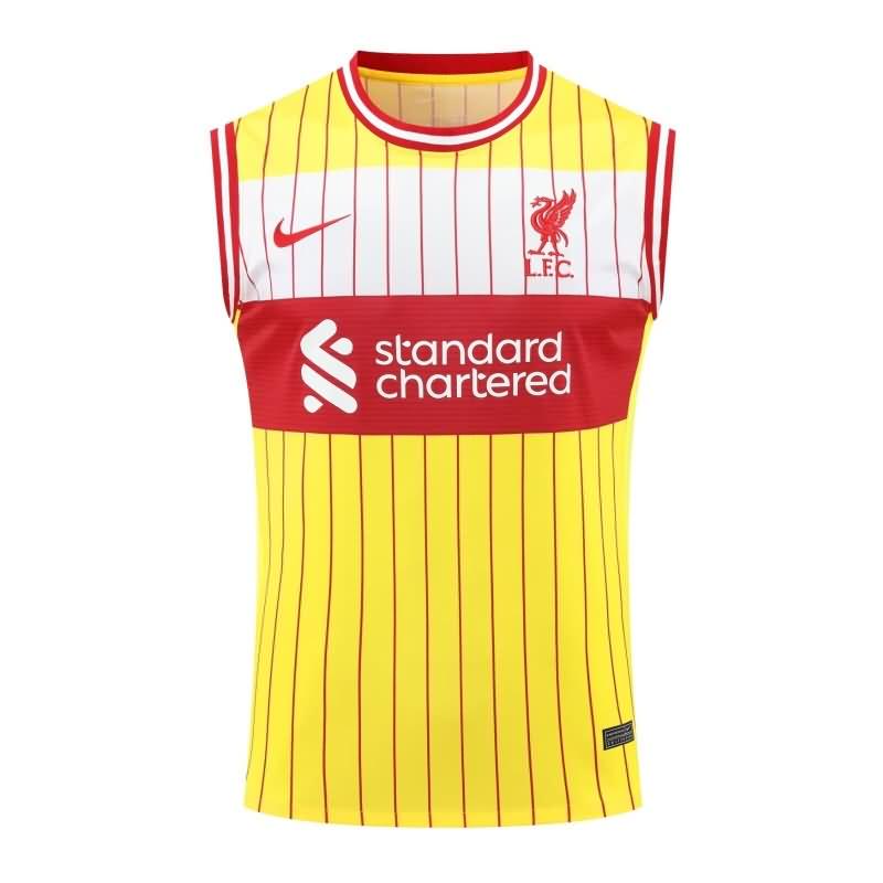 Thailand Quality(AAA) 24/25 Liverpool Training Vest Soccer Jersey 02