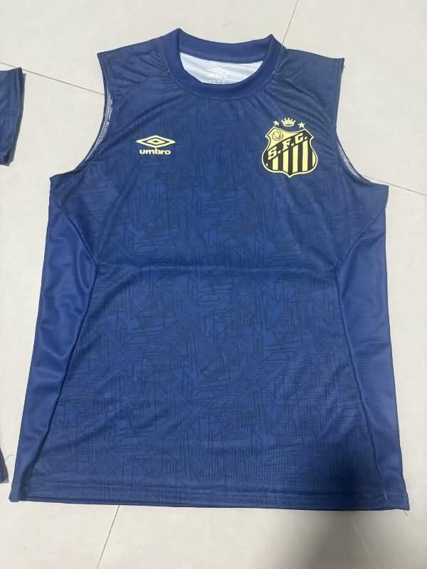 Thailand Quality(AAA) 2024 Santos Training Vest Soccer Jersey