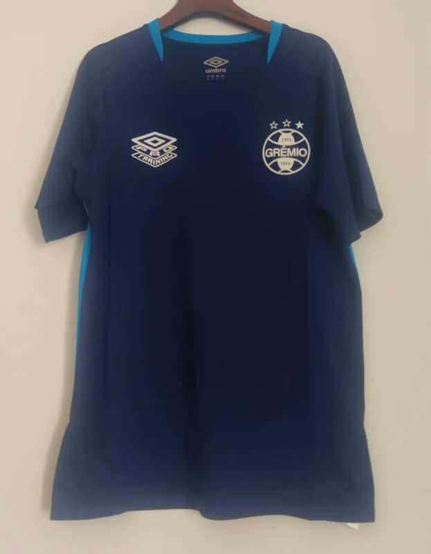 Thailand Quality(AAA) 2025 Gremio Training Soccer Jersey 02