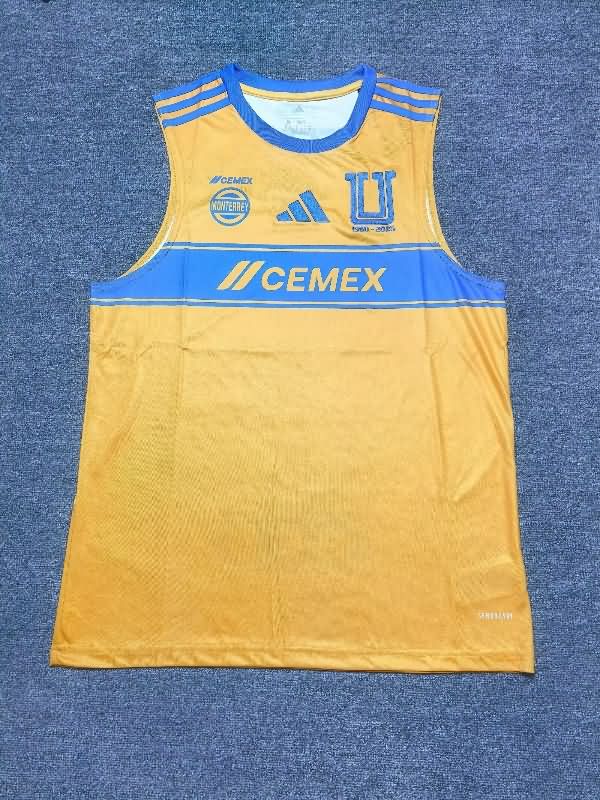 Thailand Quality(AAA) 25/26 Tigres UANL Training Vest Soccer Jersey
