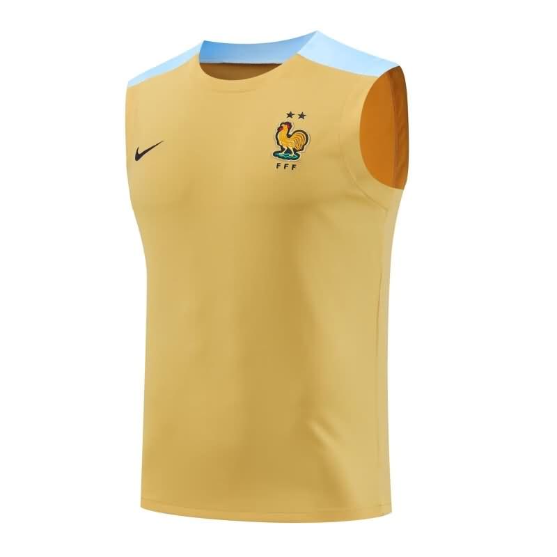 Thailand Quality(AAA) 2024 France Training Vest Soccer Jersey 03