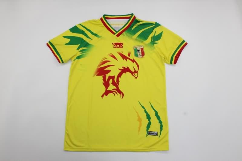 Thailand Quality(AAA) 2023 Mali Training Soccer Jersey