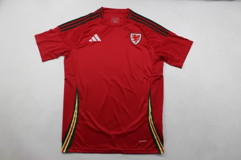 Thailand Quality(AAA) 2024 Wales Home Soccer Jersey