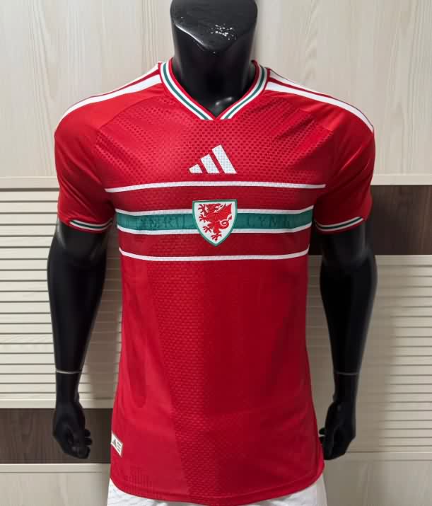 Thailand Quality(AAA) 2026 Wales Home Soccer Jersey (Player)